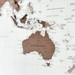 World Map with Pins - Dark Brown - Image 8