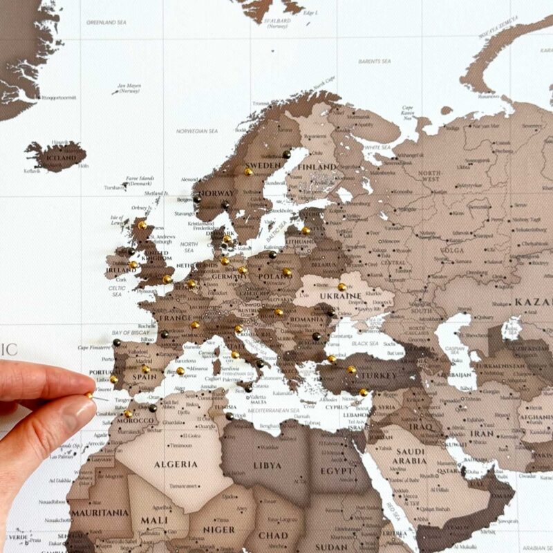 World Map with Pins - Dark Brown - Image 3