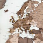 World Map with Pins - Dark Brown - Image 7