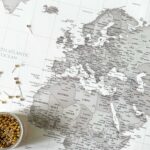 Push Pin World Map - Grey - Image 7